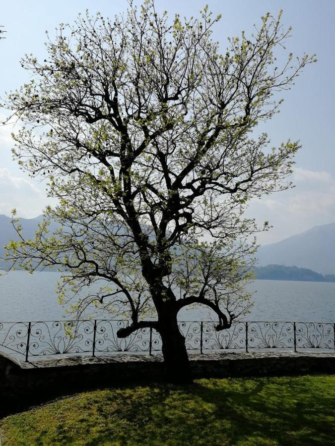 L'Antico Borgo, Un Mix Di Storia E Romanticismo Villa Lierna Luaran gambar